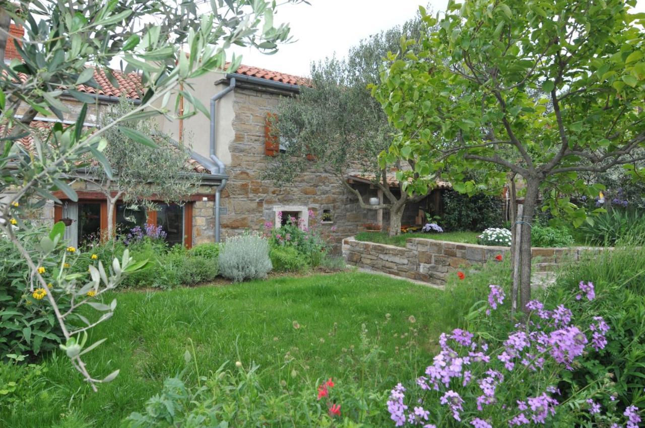 Istrian Stone House Villa Secovlje Ngoại thất bức ảnh