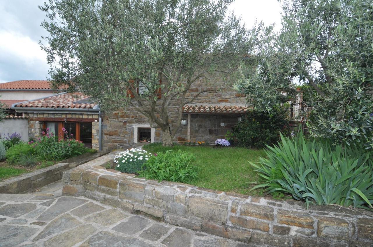 Istrian Stone House Villa Secovlje Ngoại thất bức ảnh
