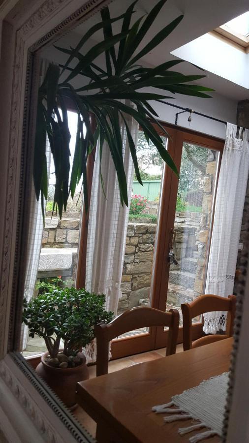 Istrian Stone House Villa Secovlje Ngoại thất bức ảnh