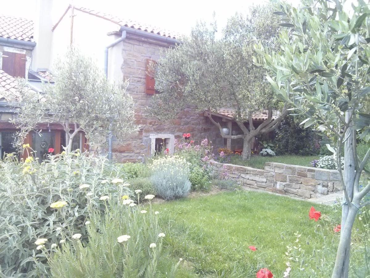 Istrian Stone House Villa Secovlje Ngoại thất bức ảnh