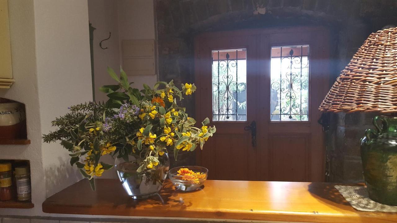 Istrian Stone House Villa Secovlje Ngoại thất bức ảnh