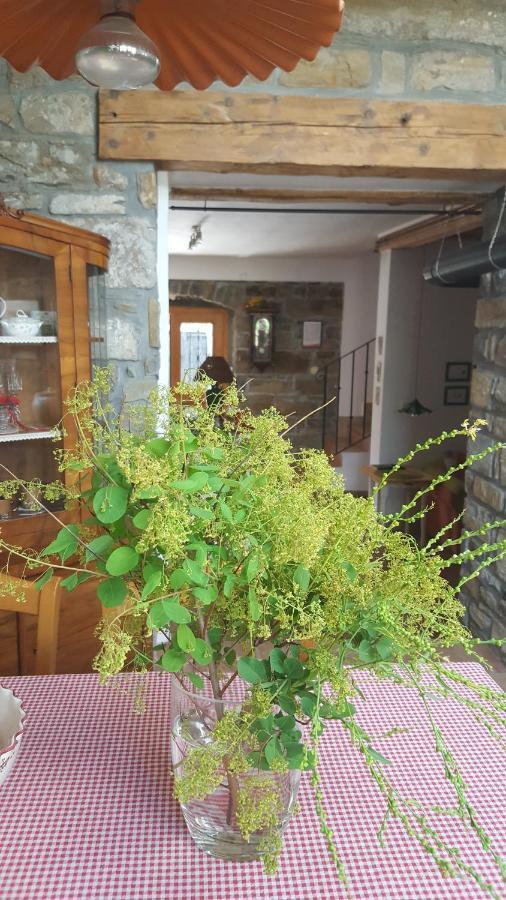 Istrian Stone House Villa Secovlje Ngoại thất bức ảnh