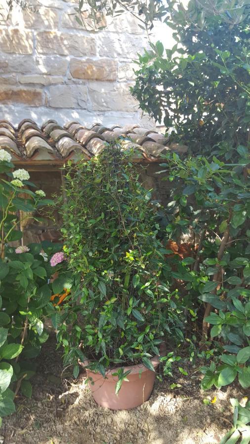 Istrian Stone House Villa Secovlje Ngoại thất bức ảnh
