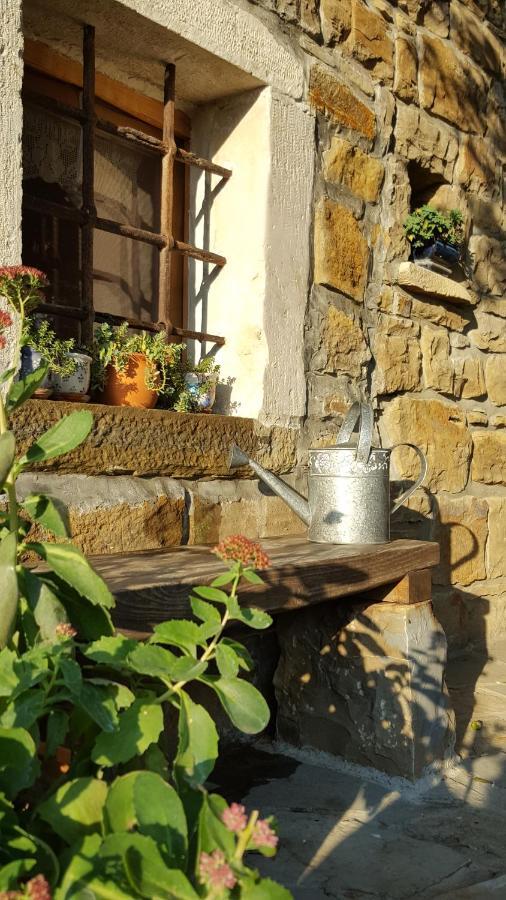 Istrian Stone House Villa Secovlje Ngoại thất bức ảnh