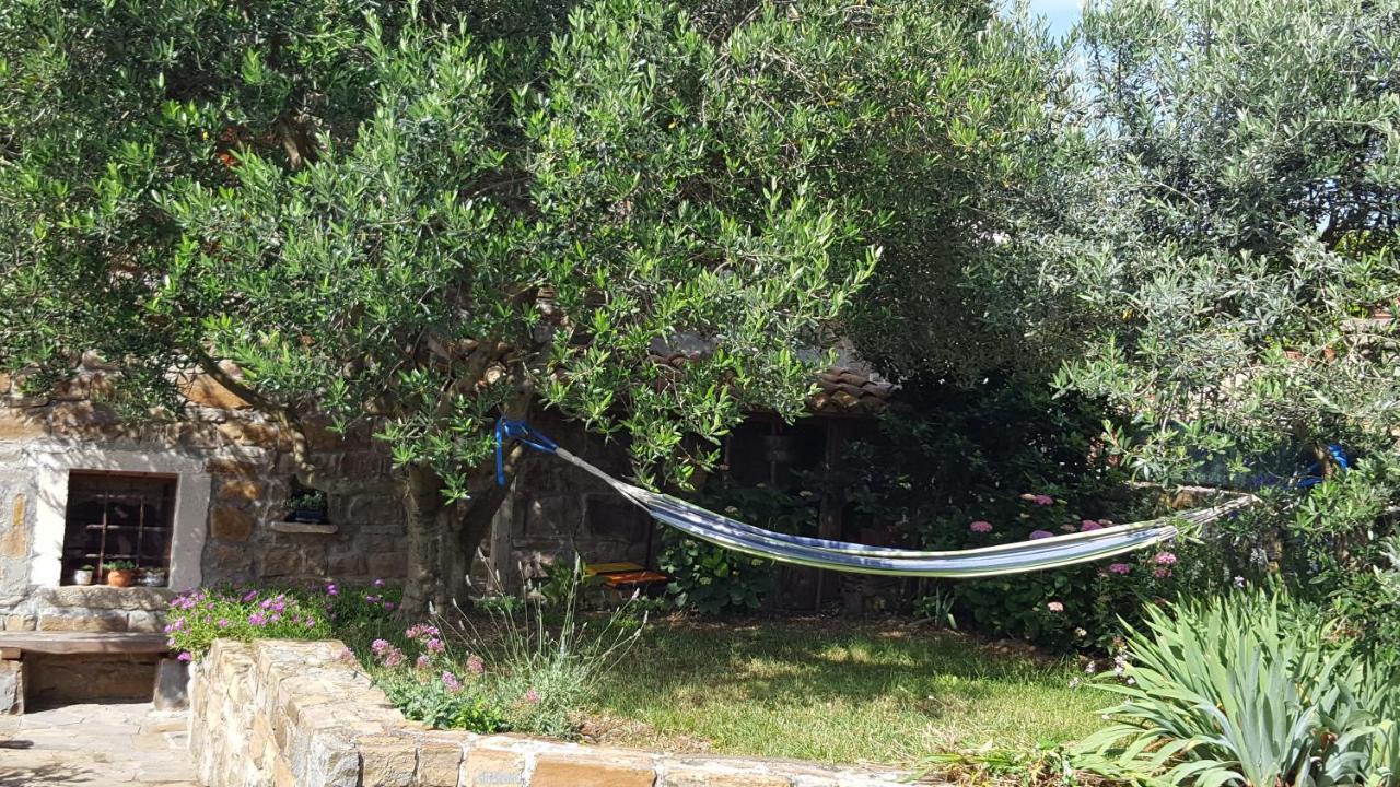 Istrian Stone House Villa Secovlje Ngoại thất bức ảnh