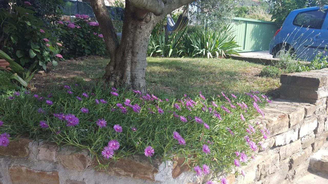 Istrian Stone House Villa Secovlje Ngoại thất bức ảnh