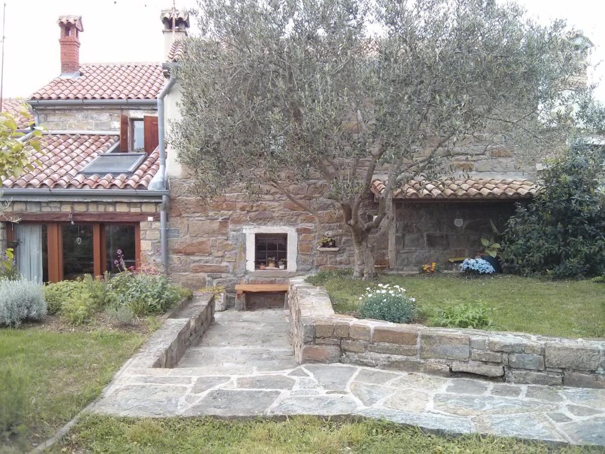 Istrian Stone House Villa Secovlje Ngoại thất bức ảnh