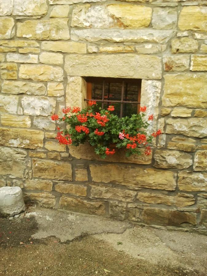 Istrian Stone House Villa Secovlje Ngoại thất bức ảnh