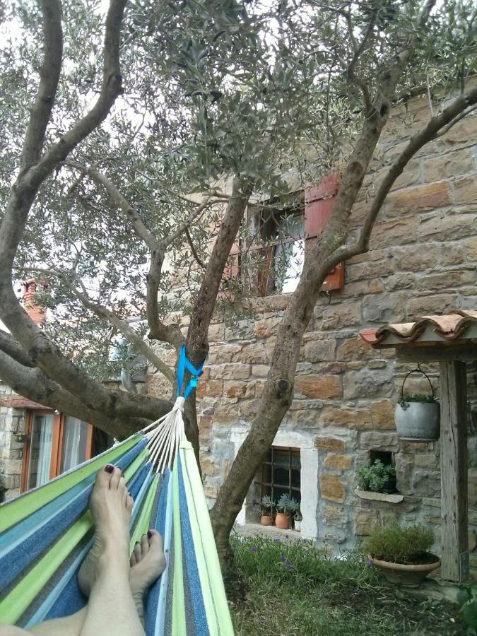 Istrian Stone House Villa Secovlje Ngoại thất bức ảnh
