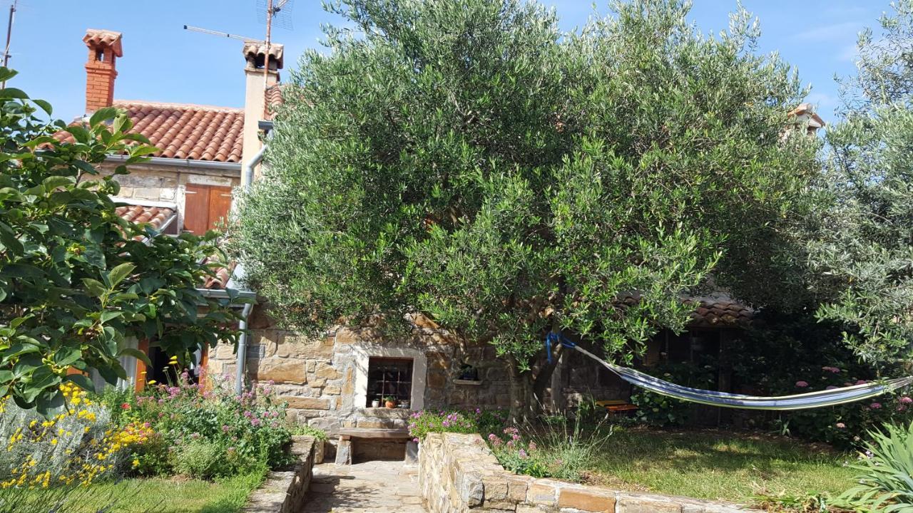 Istrian Stone House Villa Secovlje Ngoại thất bức ảnh