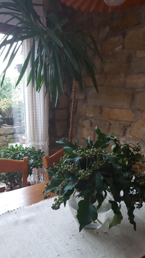 Istrian Stone House Villa Secovlje Ngoại thất bức ảnh