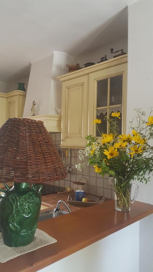 Istrian Stone House Villa Secovlje Ngoại thất bức ảnh