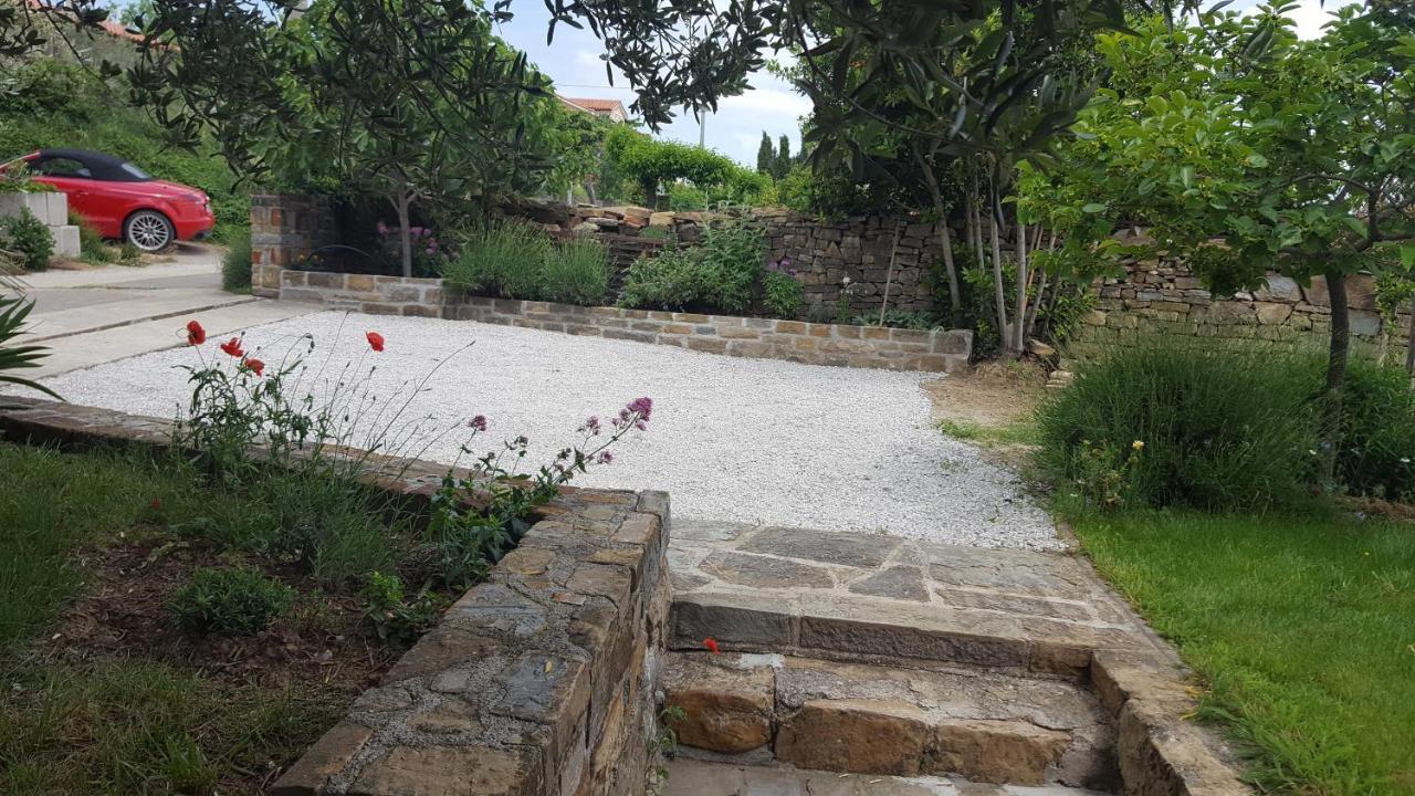 Istrian Stone House Villa Secovlje Ngoại thất bức ảnh